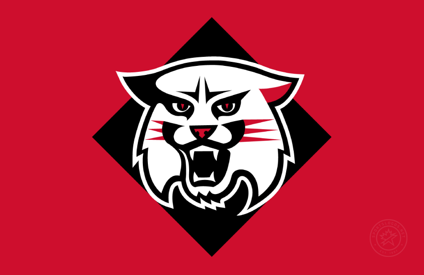 Davidson Wildcats 2010-2023 Secondary Logo diy iron on heat transfer
